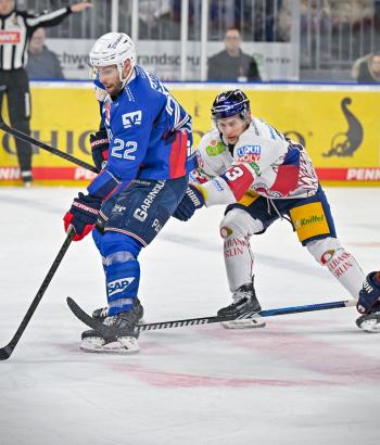 Adler Mannheim Vorschau HF2