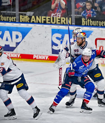 Adler Mannheim Vorschau HF