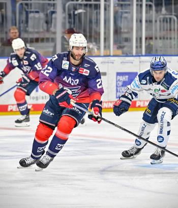 Adler Mannheim Vorschau IEC v3