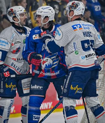 Adler Mannheim Vorschau IEC v4