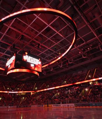 Adler Mannheim Vorschau MUC