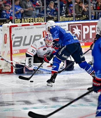 Adler Mannheim Vorschau NIT DRE