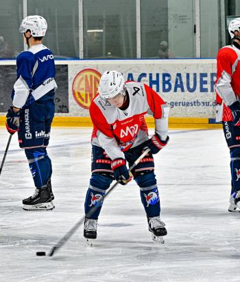 Adler Mannheim Vorschau NIT