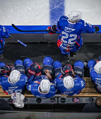 Adler Mannheim Vorschau STR v2