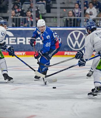 Adler Mannheim Vorschau STR v3