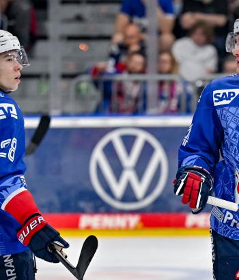 Adler Mannheim Vorschau SWW v3
