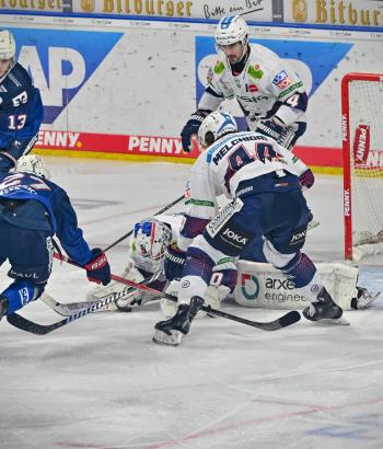 Adler Mannheim Vorschau VF