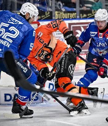 Adler Mannheim Vorschau WOB MUC