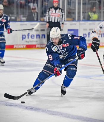 Adler Mannheim Vorschau WOB