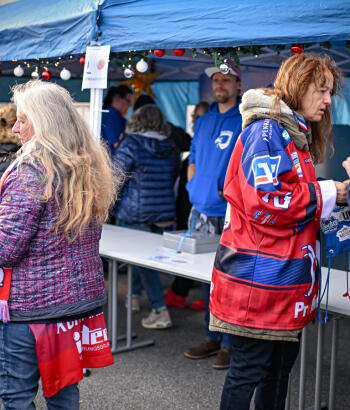 Adler Mannheim Wintermarkt