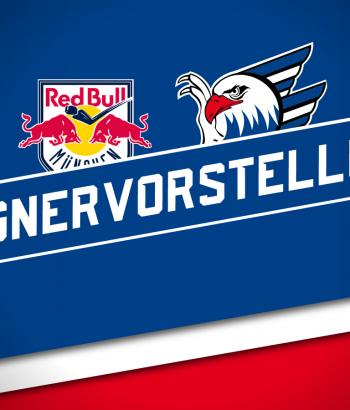 Gegnervorstellung Auswaerts ehc