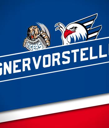 Gegnervorstellung Auswaerts straubing