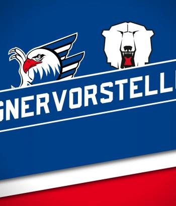 Gegnervorstellung Heim ebb2