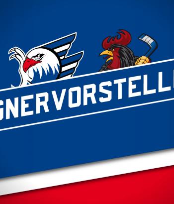 Gegnervorstellung Heim iec2