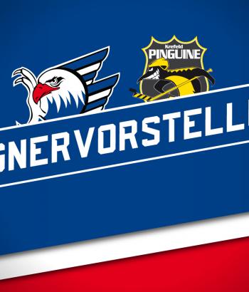 Gegnervorstellung Heim kev