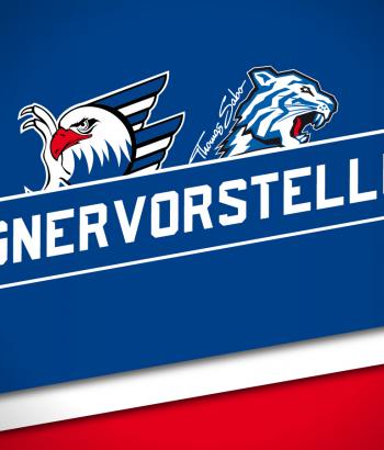 Gegnervorstellung Heim nit