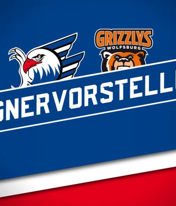 Gegnervorstellung Heim wob
