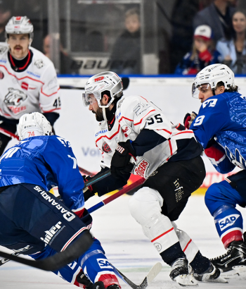 Header Spielbericht vs NIT
