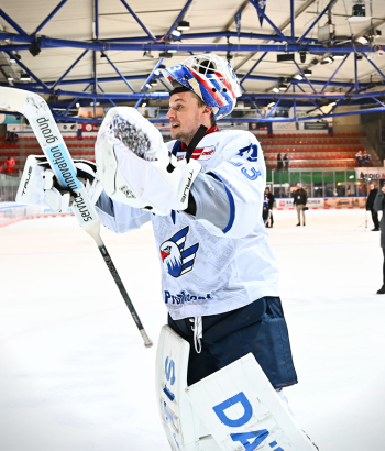 Header Mattsson Stimmen