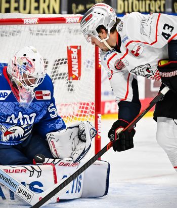 Header Spielbericht MANvsNIT