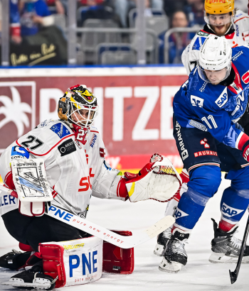 Header Spielbericht VF5