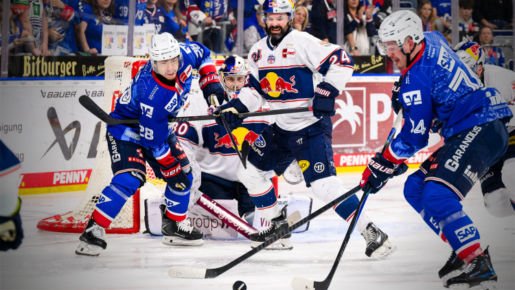 Adler im Finale