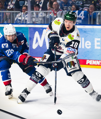 Header Stimmen v6