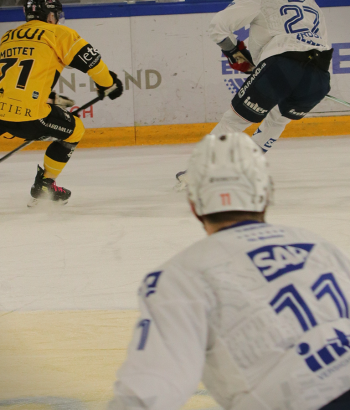 Header Stimmen