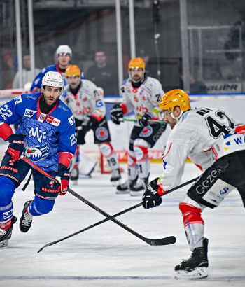 Header Vorbericht VF1