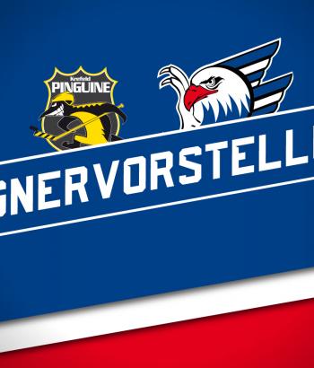 Krefeld Adler2