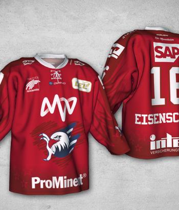 Trikot SDH Web