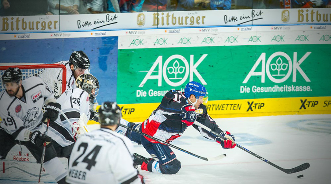 Neue News Article