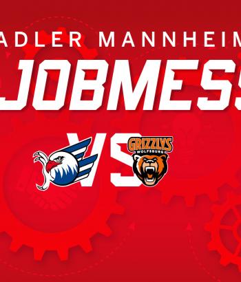 WebsiteHeader Jobmesse2 2023