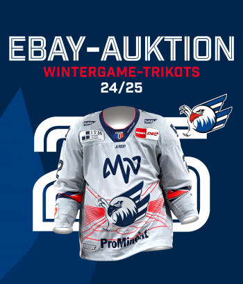 Wintergame ebayversteigerung Website