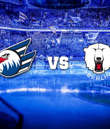 adler eisbaeren app
