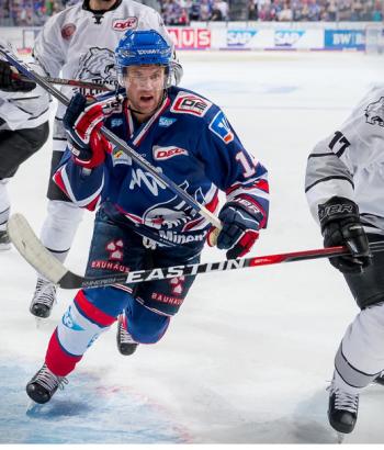 adler icetigers festerling