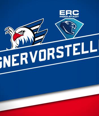 adler ing4