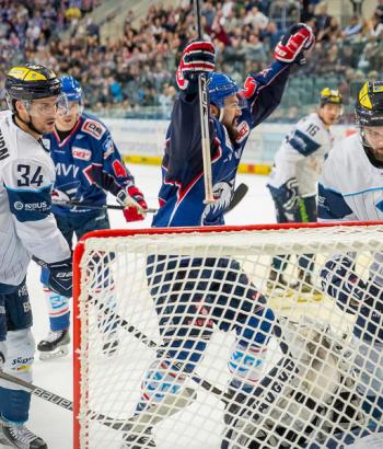 app bittner