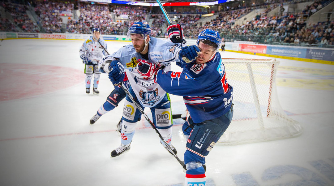 Tigers beenden Mannheimer Siegesserie