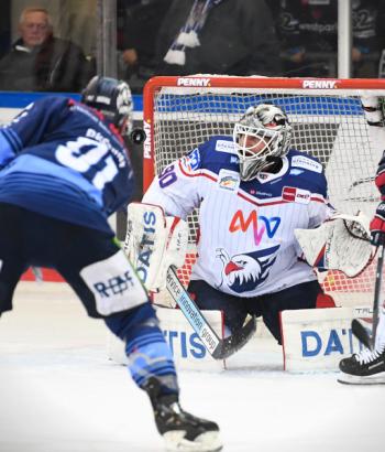 brueckmann14