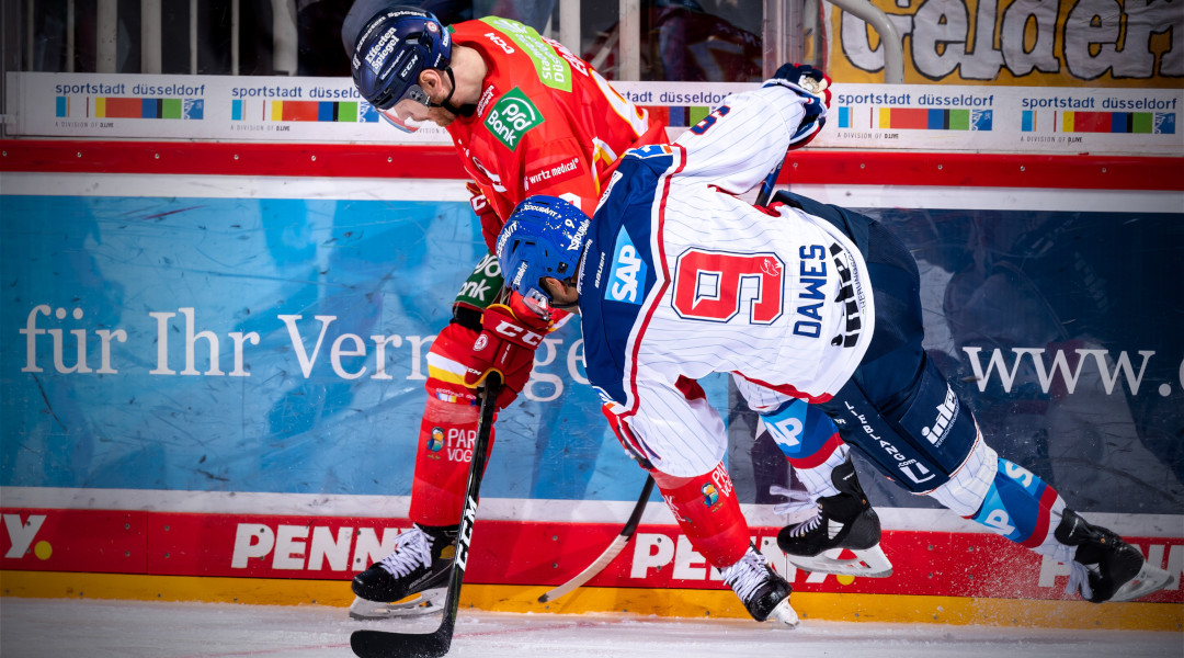 Adler wieder im Aufwind