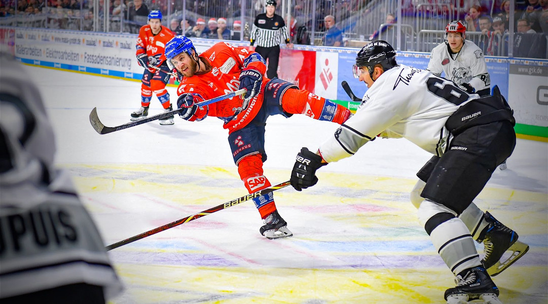 Adler mit beeindruckendem Comeback