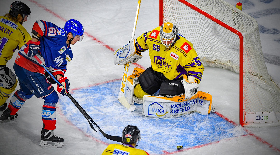 Adler machen wieder Boden gut