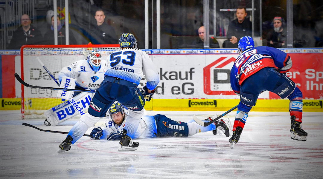 Adler weiter auf Kurs