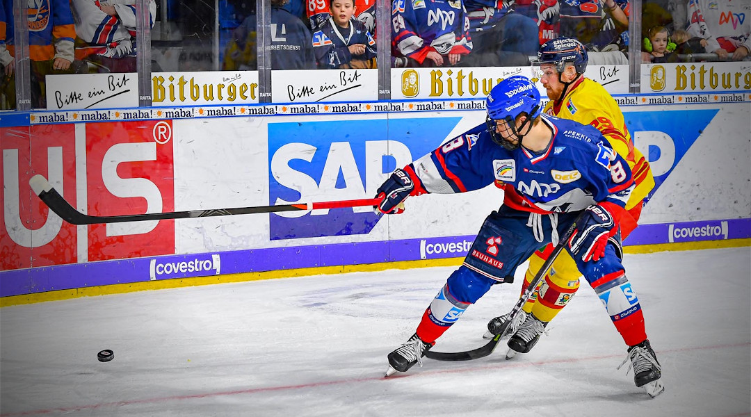 Adler mit furiosem Comeback