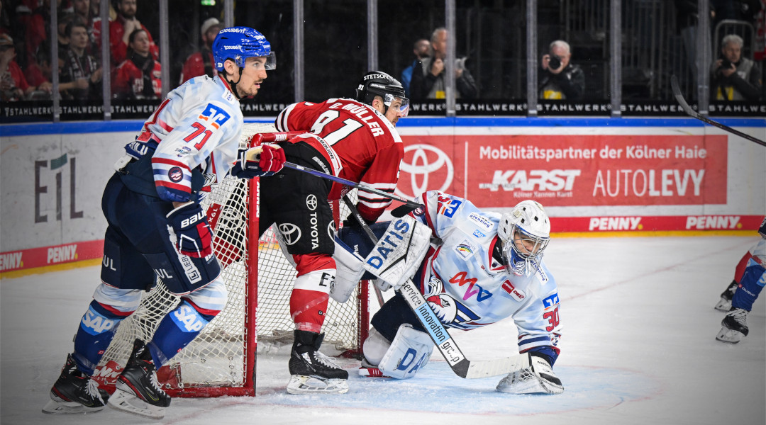 Adler stehen im Halbfinale